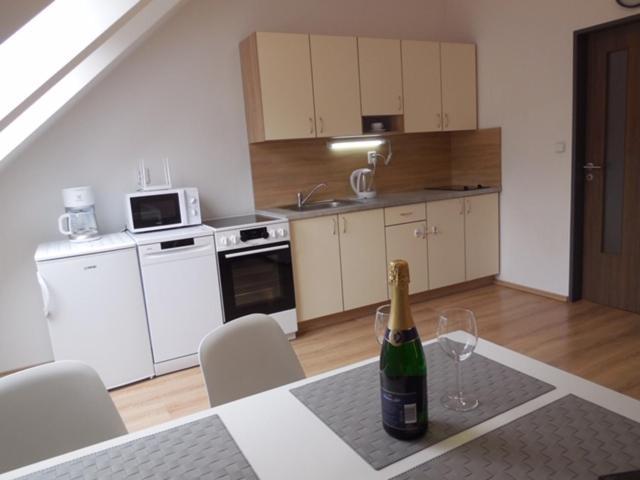 Apartman Kamenice كامينيس ناد ليبو المظهر الخارجي الصورة